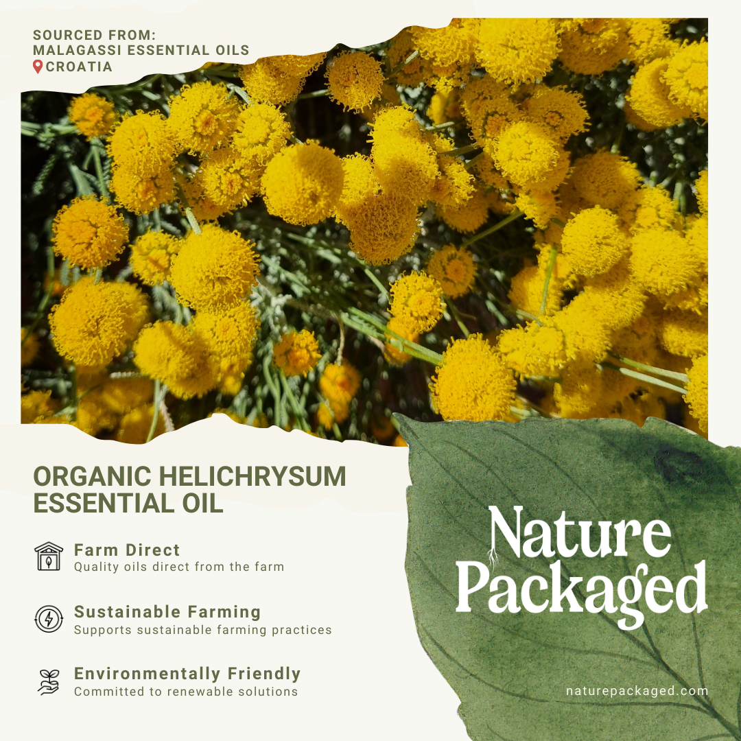 Nature Packaged – wholesale Essential oil – Organic Helichrysum Essential Oils- 100% Pure - Farm-Direct 6