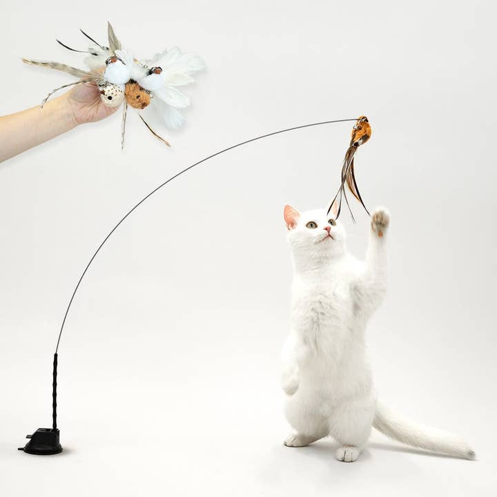 Leo's Paw - Wholesale Pet Toy Set - Cat - Interactive Bird Simulation Cat Toy Set