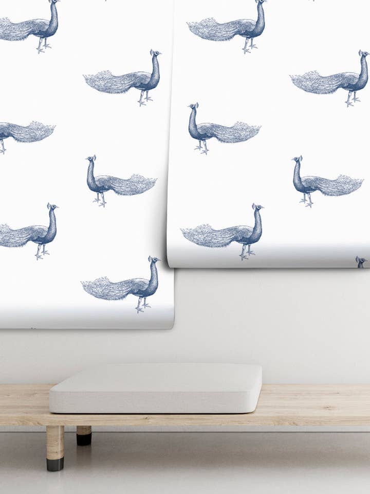 Pavito per la vendita all'ingrosso da parte di PIPAPEL