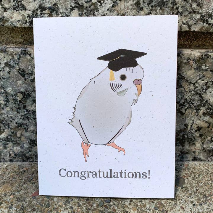 Graduation - White Parakeet for wholesale by Hakuna Matata Vibes