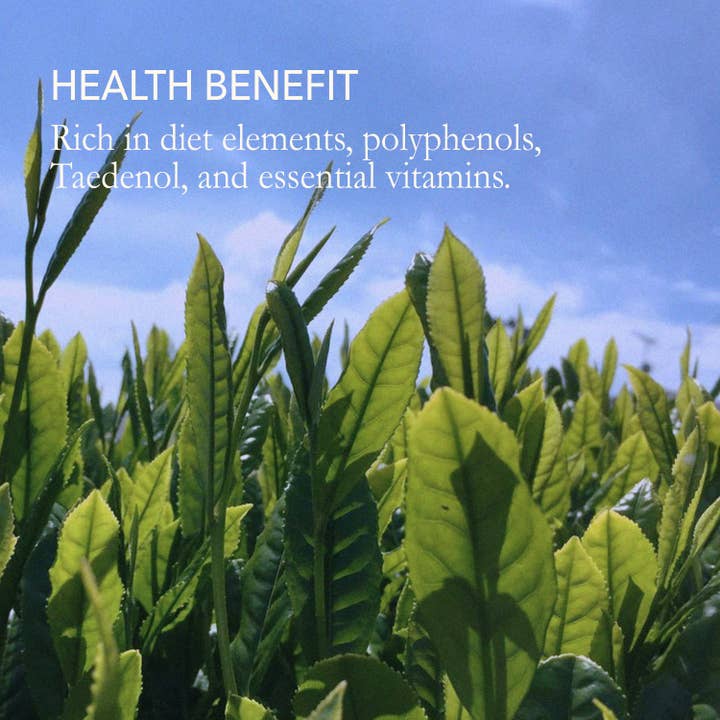 Japanese Green Tea Co. – wholesale Health/detox tea – Japanese Diet Pu-Erh Tea Saryu Soso (10 Bags) Good for Skin