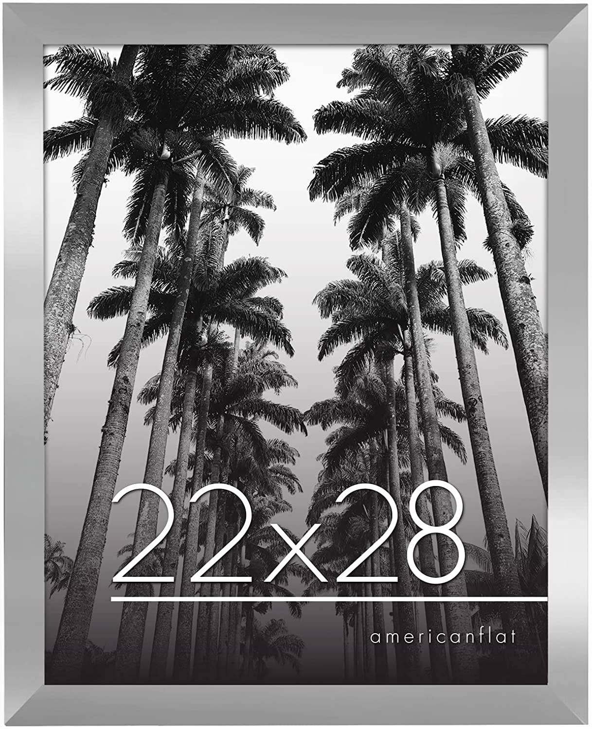 Americanflat - Wholesale Picture Frame - Americanflat Poster Frame with Wide Molding342