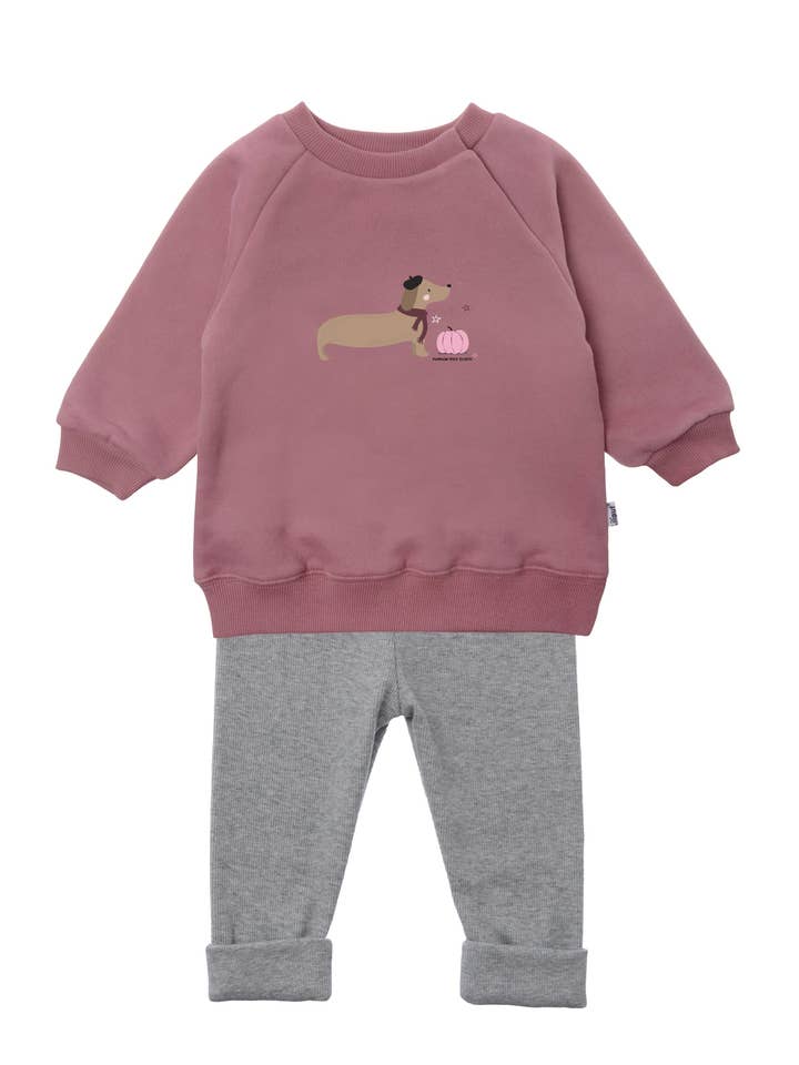 2-piece set with "Dachshund with Pumpkin" sweatshirt in rosewood and leggings for wholesale by Liliput