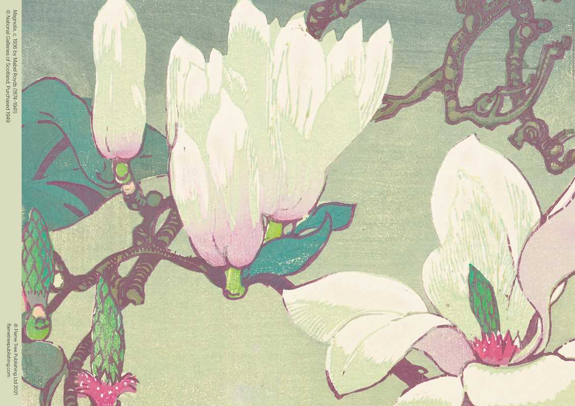 Simon & Schuster - Wholesale Puzzle - Adult - Adult Jigsaw Puzzle NGS: Mabel Royds: Magnolia (500 pieces) by2