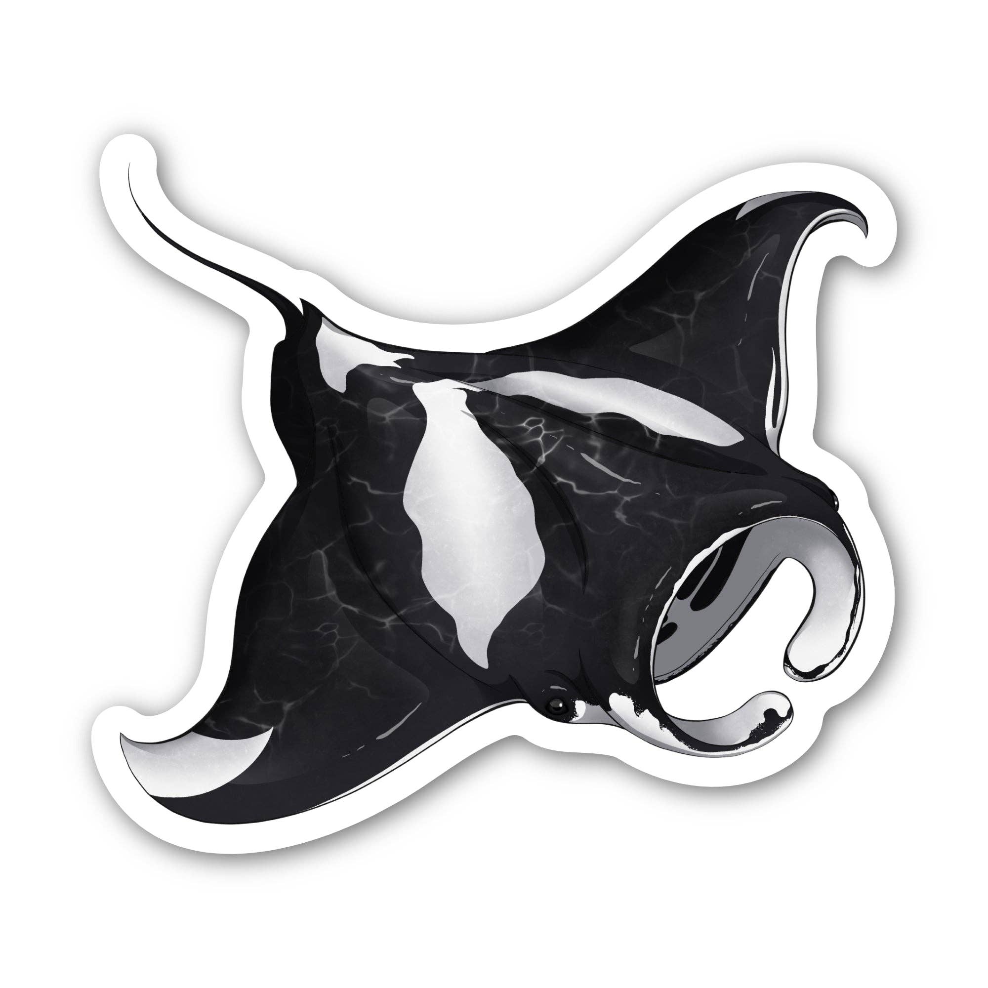Big Moods - Wholesale Sticker - Oceanic Manta Ray Sticker0