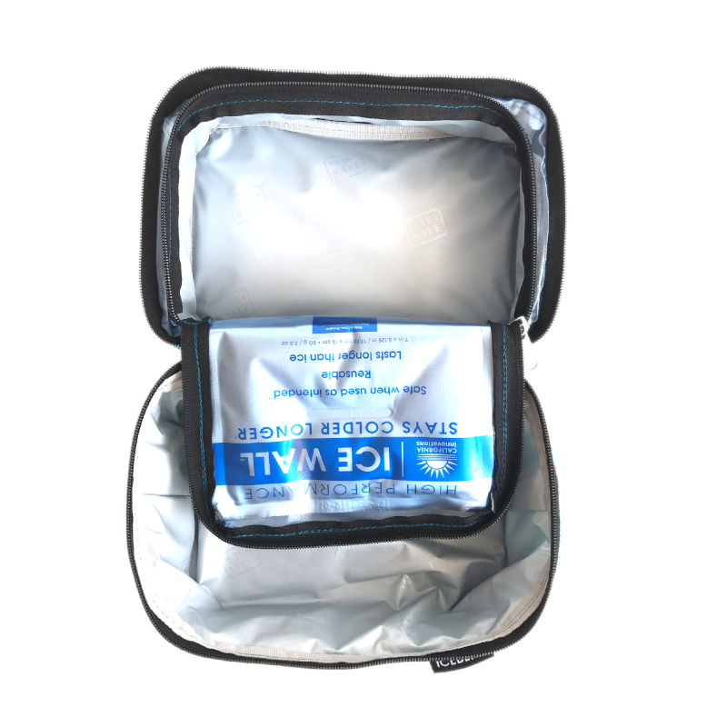 Mini Hippo - Wholesale Lunch Bag/Box - Arctic Zone Dual Compartment Lunch Pack5