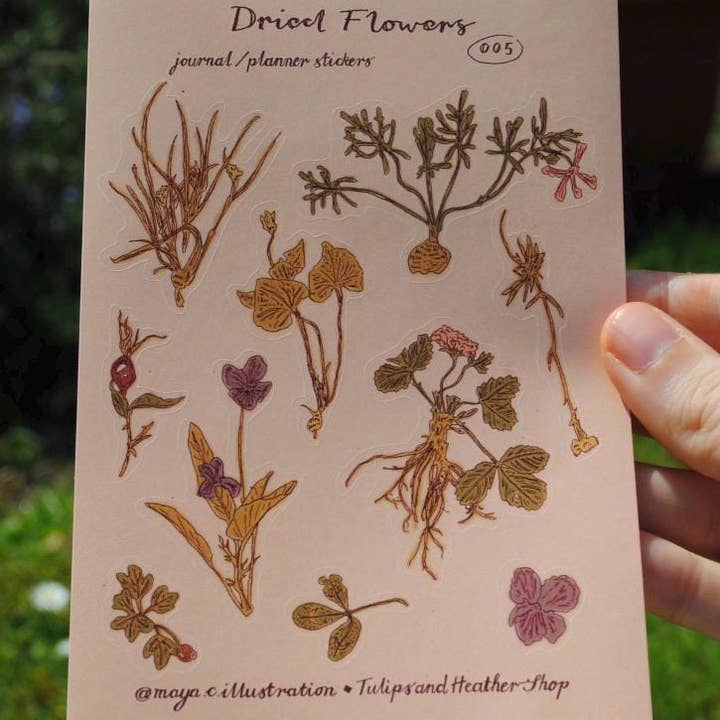 Tulips and Heather – wholesale Sticker – Sticker Sheet "Dried Flowers" for journals and planners5