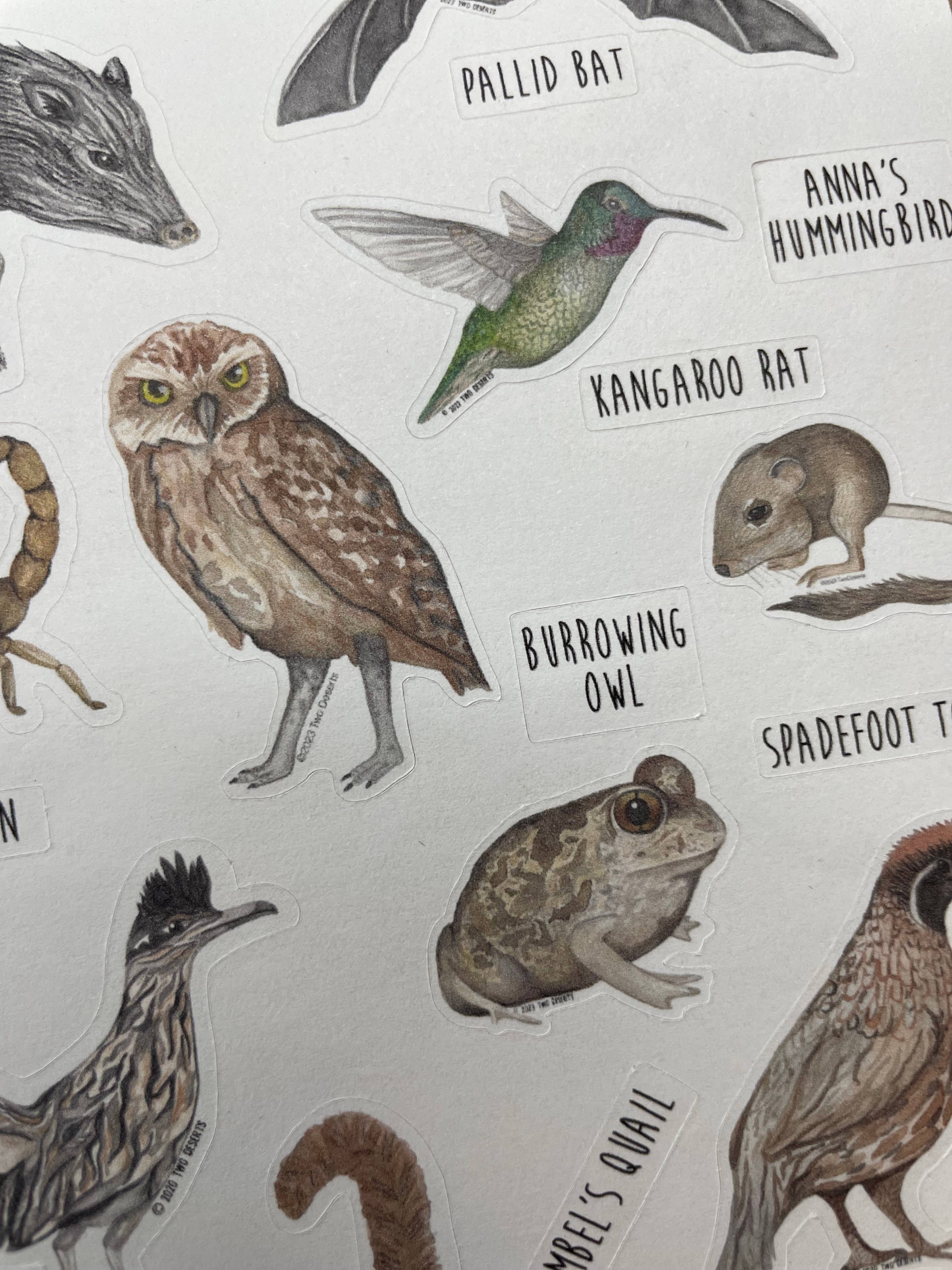Two Deserts - Wholesale Sticker - Animal Stickers - Desert Wildlife - Paper Sticker Sheet1