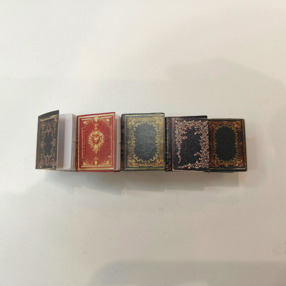 Ashlen – Engroshandel Hårspænde - Dame – MINIATURE BOG HÅRKLIPS2