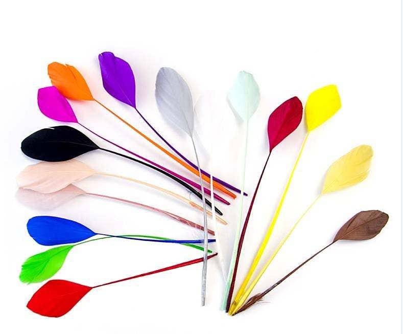 Westrian International - Wholesale Feathers - Died Millinery Feathers for Kentucky Derby Hats Fascinators3