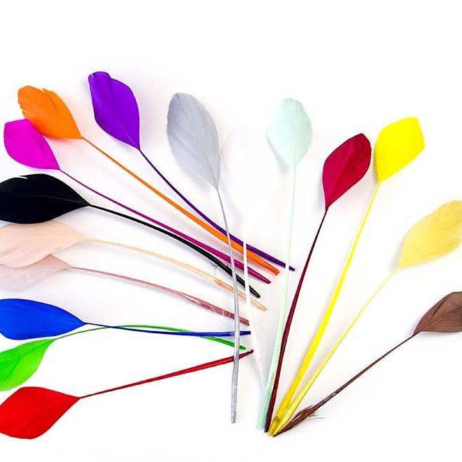 Westrian International - Wholesale Feathers - Died Millinery Feathers for Kentucky Derby Hats Fascinators3