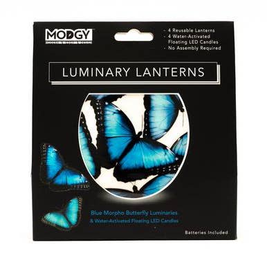 Modgy - Wholesale Lantern - Luminary Lantern - Blue Morpho Butterfly