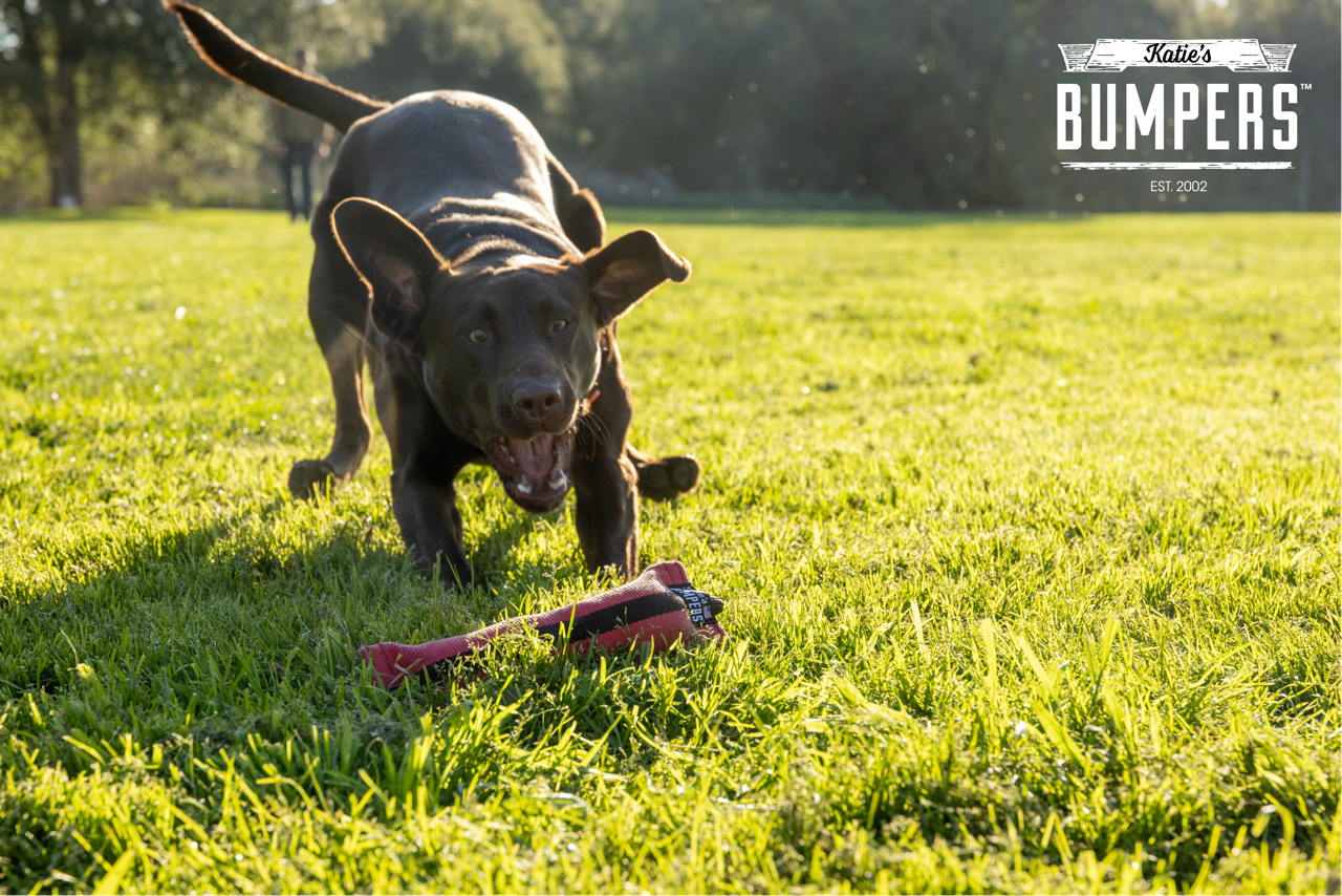 Katie's Bumpers - Wholesale Pet Rope Toy - Dog - NEW!! KB Double Tug Rope5