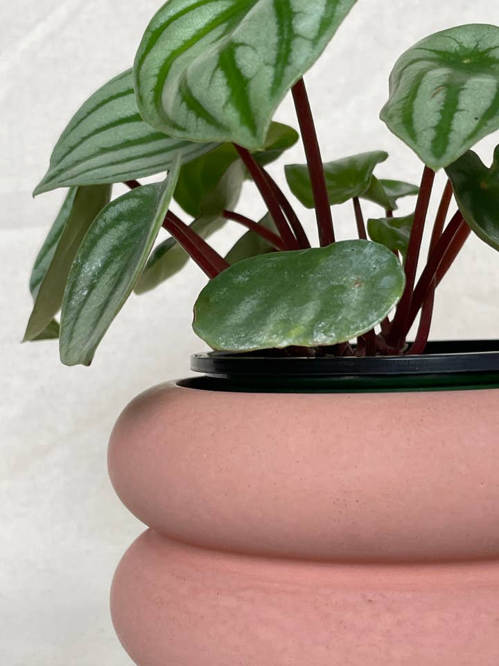 Bubble Planter for wholesale by Minimali Decor