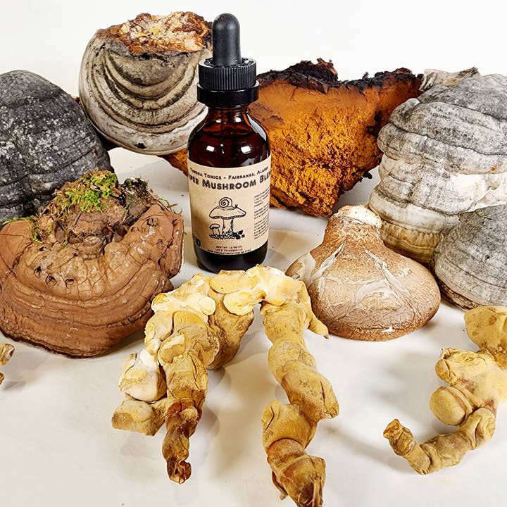 Tundra Tonics - Venta al por mayor Tinturas - Tintura silvestre forrajera de Alaska con doce hongos1