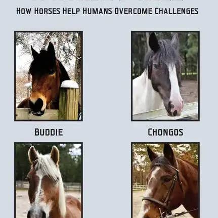 Books by splitShops - Wholesale Book - Adult - A Horse's Tale-How Horses Help Humans Overcome Challenges - Paperback0