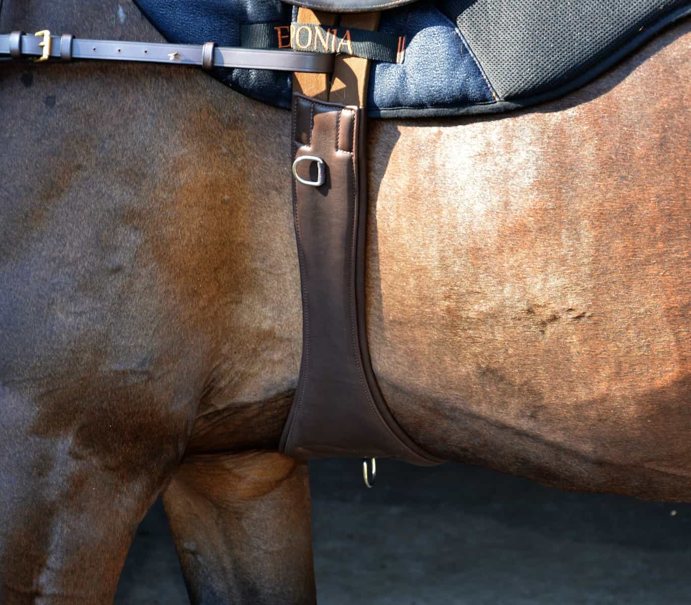 EPONIA EQUESTRIAN LIFESTYLE - Vente Équipement d’équitation - Sangle polyvalente en cuir véritable souple3