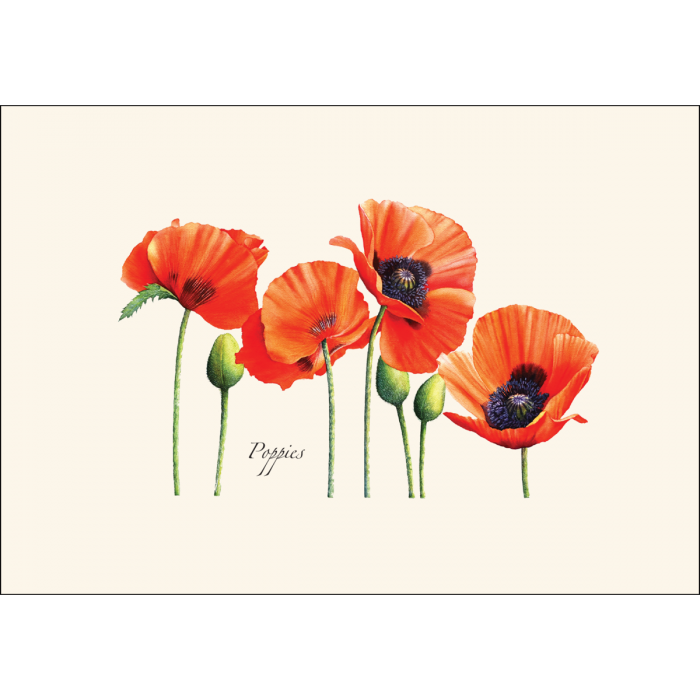 Earth Sky + Water - Wholesale Stationery/Notecard Set - Poppies1