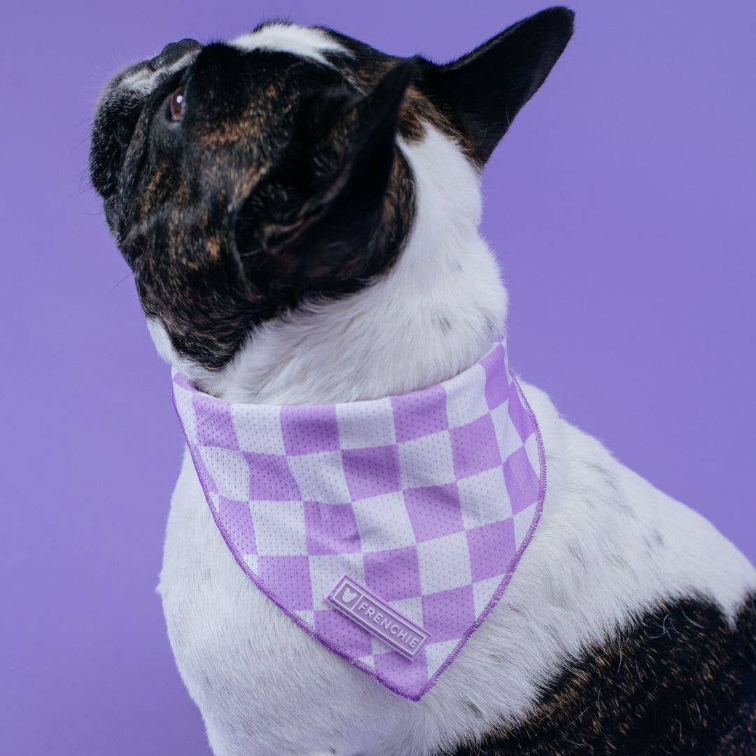 Frenchie - Wholesale Pet Bandana - Dog - Frenchie Cooling Bandana - Lavender2