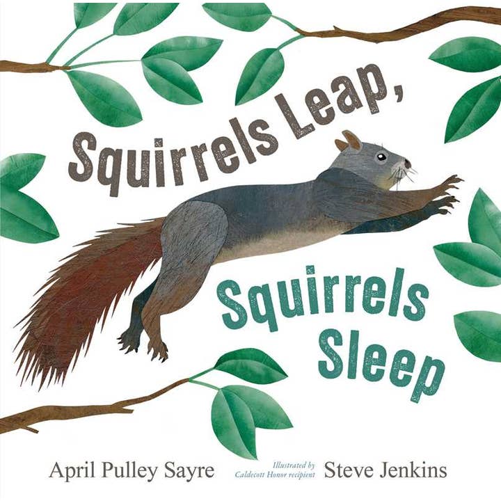 Squirrels Leap, Squirrels Sleep by April Pulley Sayre for wholesale by Simon & Schuster