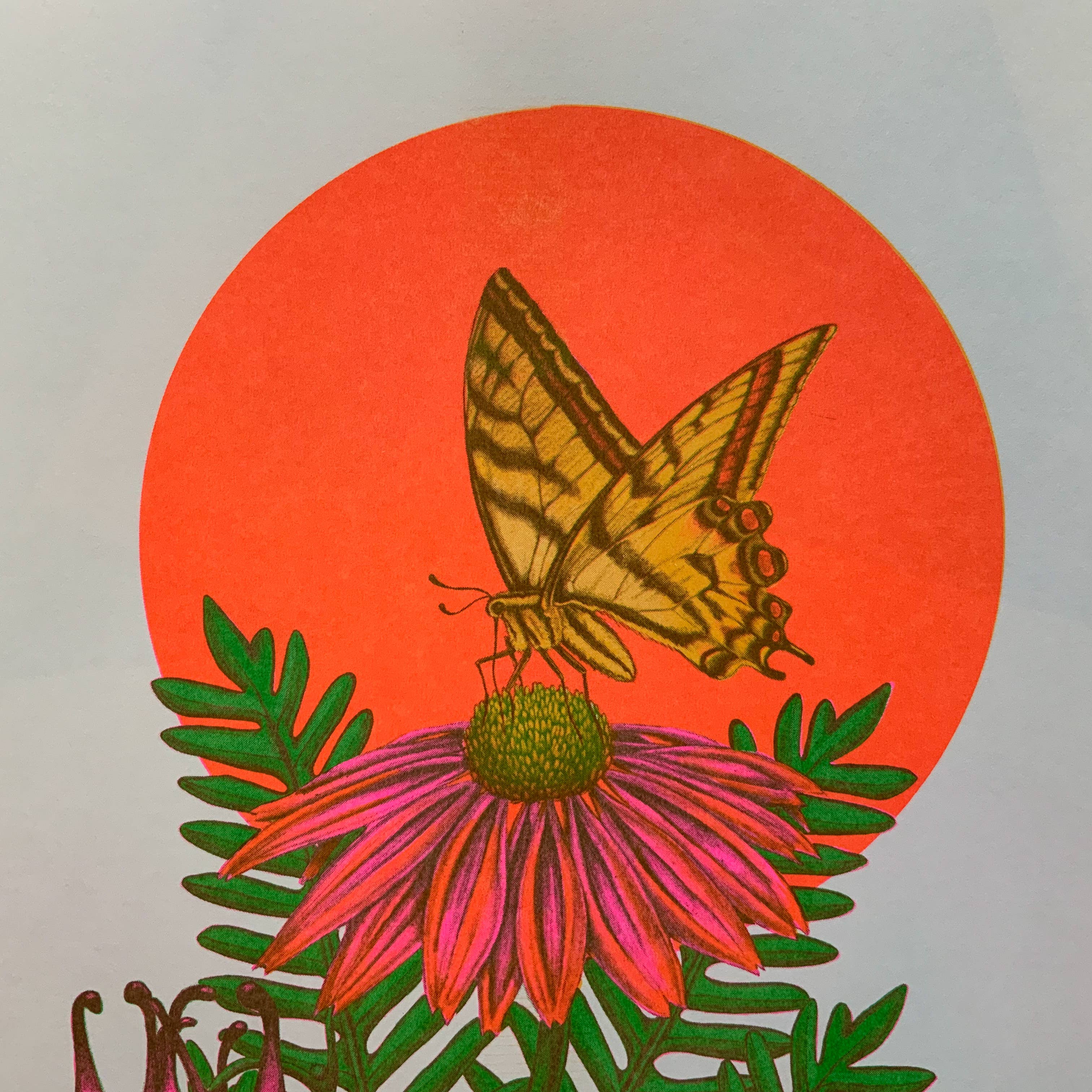 Psychedelic Lens - Wholesale Art Print - Butterfly Riso Print1