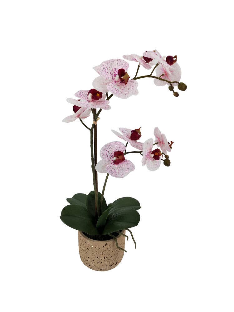 Mikasa 21inch Pink Artificial Orchid in Spotted Pot for wholesale on Faire1