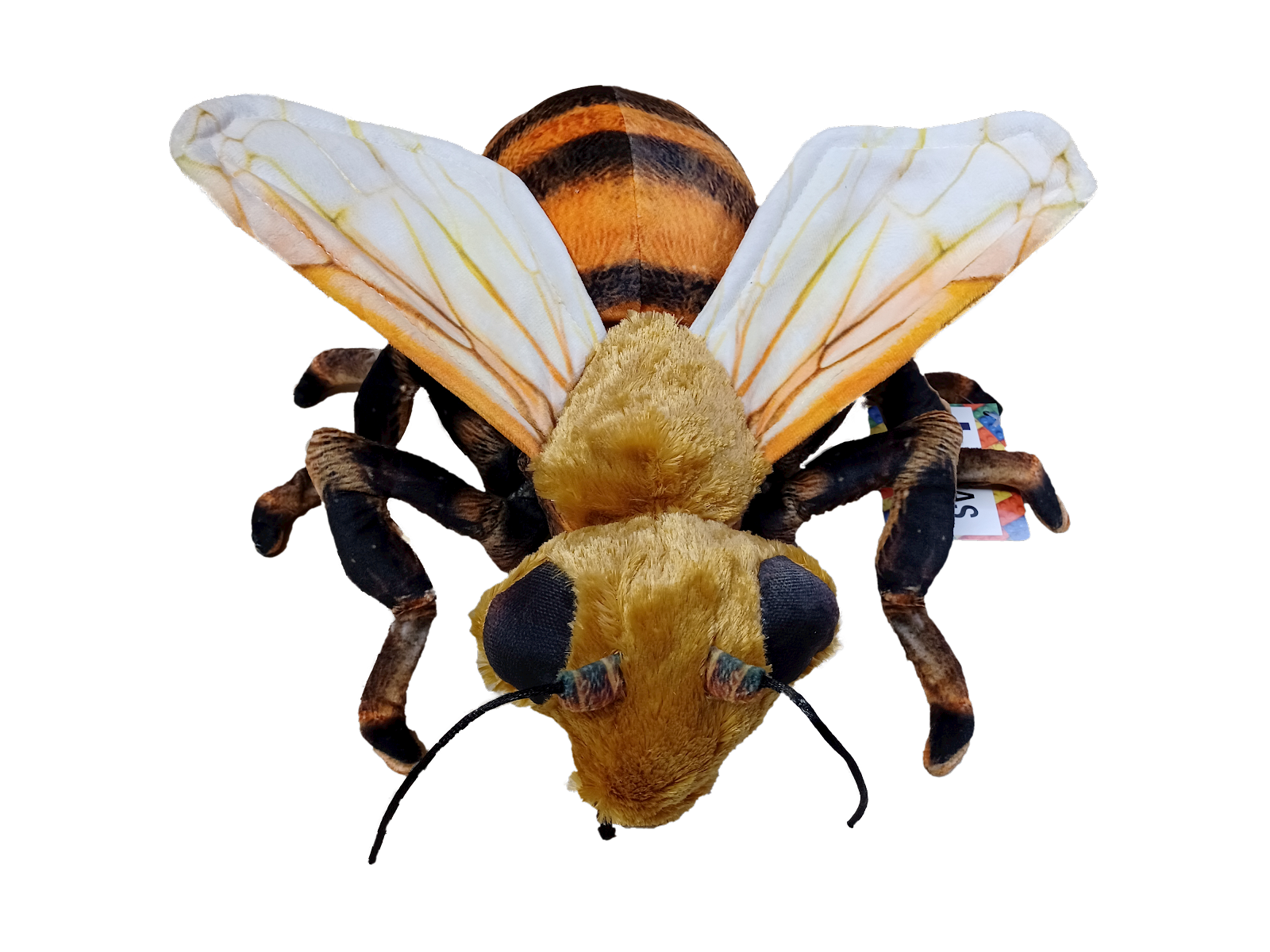 Texas Toy Distribution – wholesale Stuffed/plush toy – Kids & baby – Bee 14" Plush Insect Stuffed Animal1