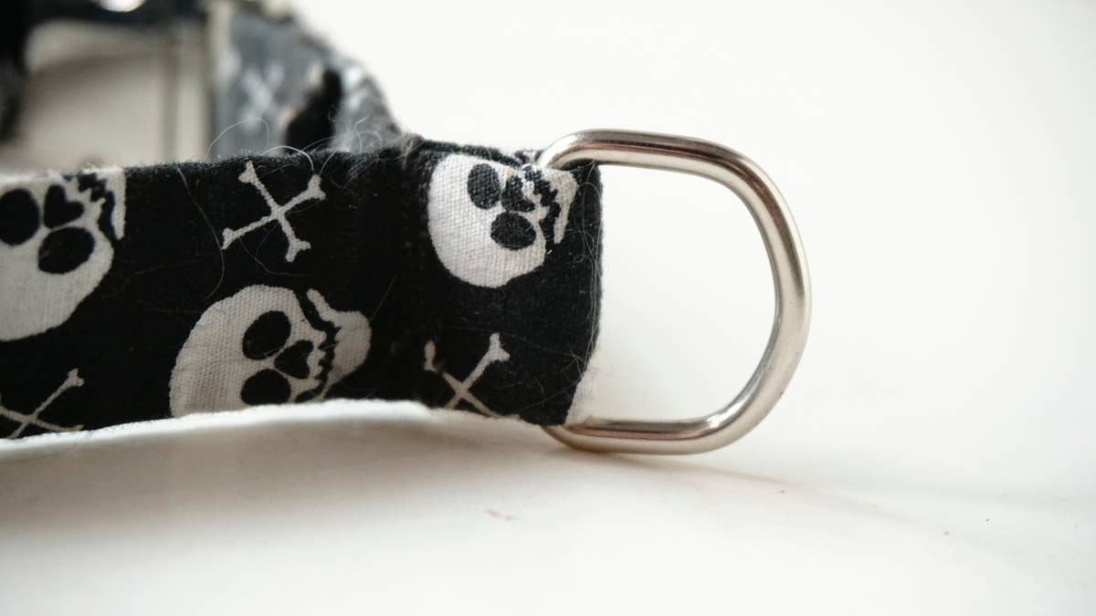 hundsfutter - Wholesale Pet Collar - Dog - Small collar for dogs with skulls2