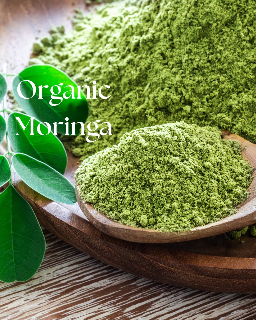 Practicality Skin & Body care - Wholesale Protein/superfood powder - Organic Moringa Powder | Pure Organic Superfood for Energy & Immunity