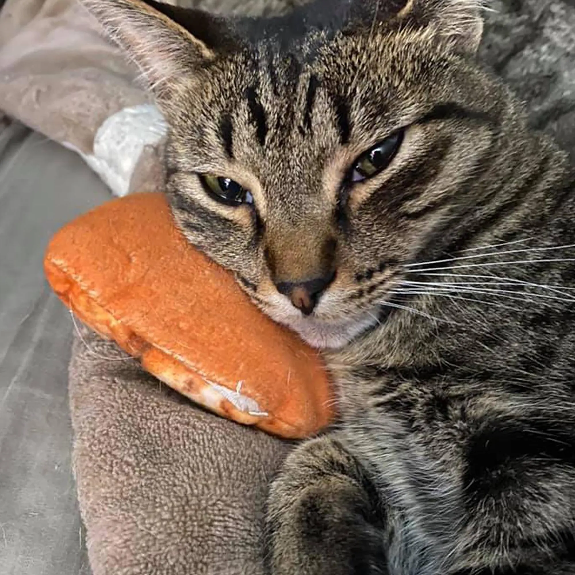 SmarterPaw | Meowijuana & Doggijuana – wholesale Leksak - Katt – Meowijuana® Get Baked Cookie Påfyllningsbar Kattleksak11