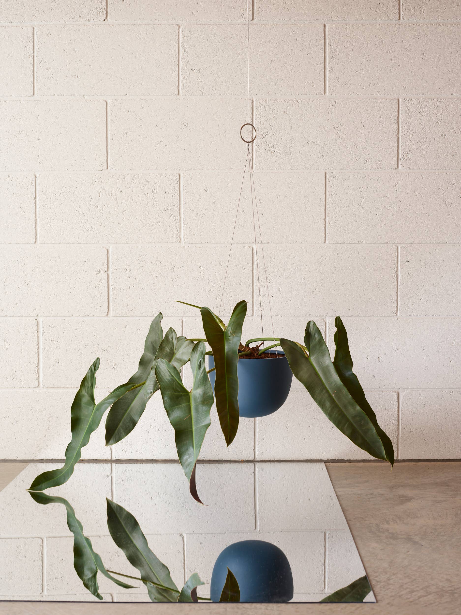Aaron Probyn US - Wholesale Hanging Planter - CLIFTON hanging plant pot MEDIUM0