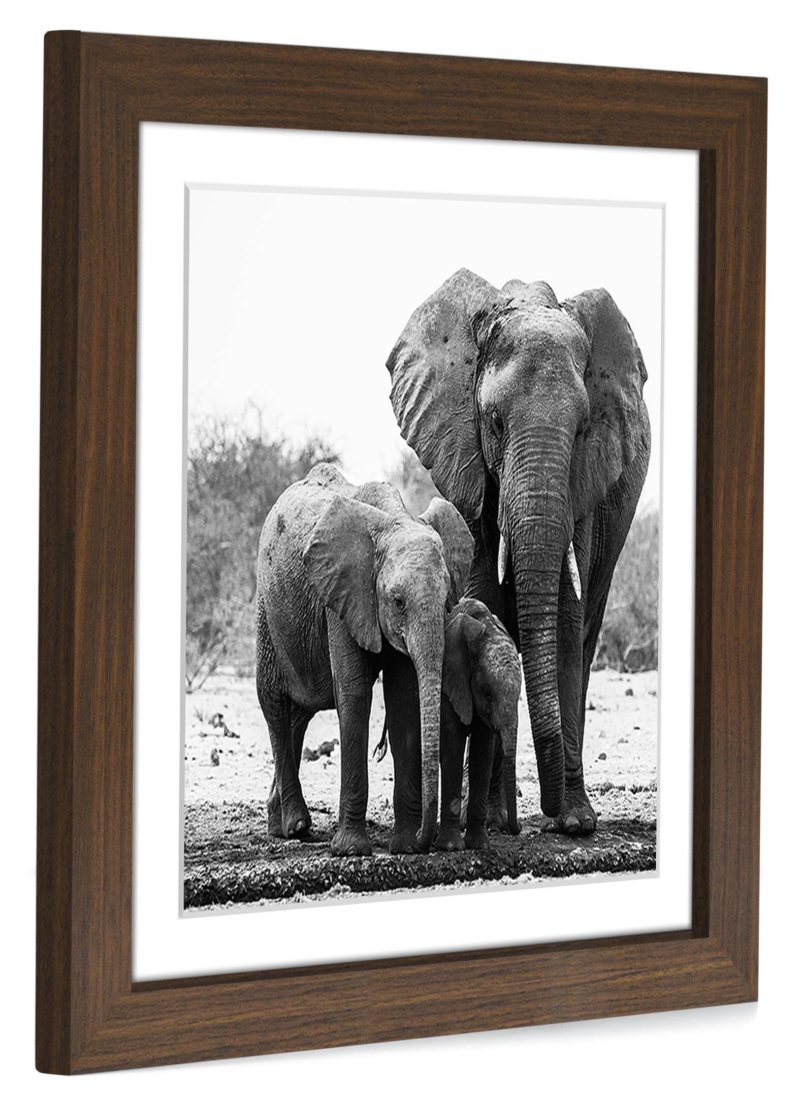 Americanflat - Wholesale Picture Frame - Americanflat Picture Frame with Mat Standard Molding62