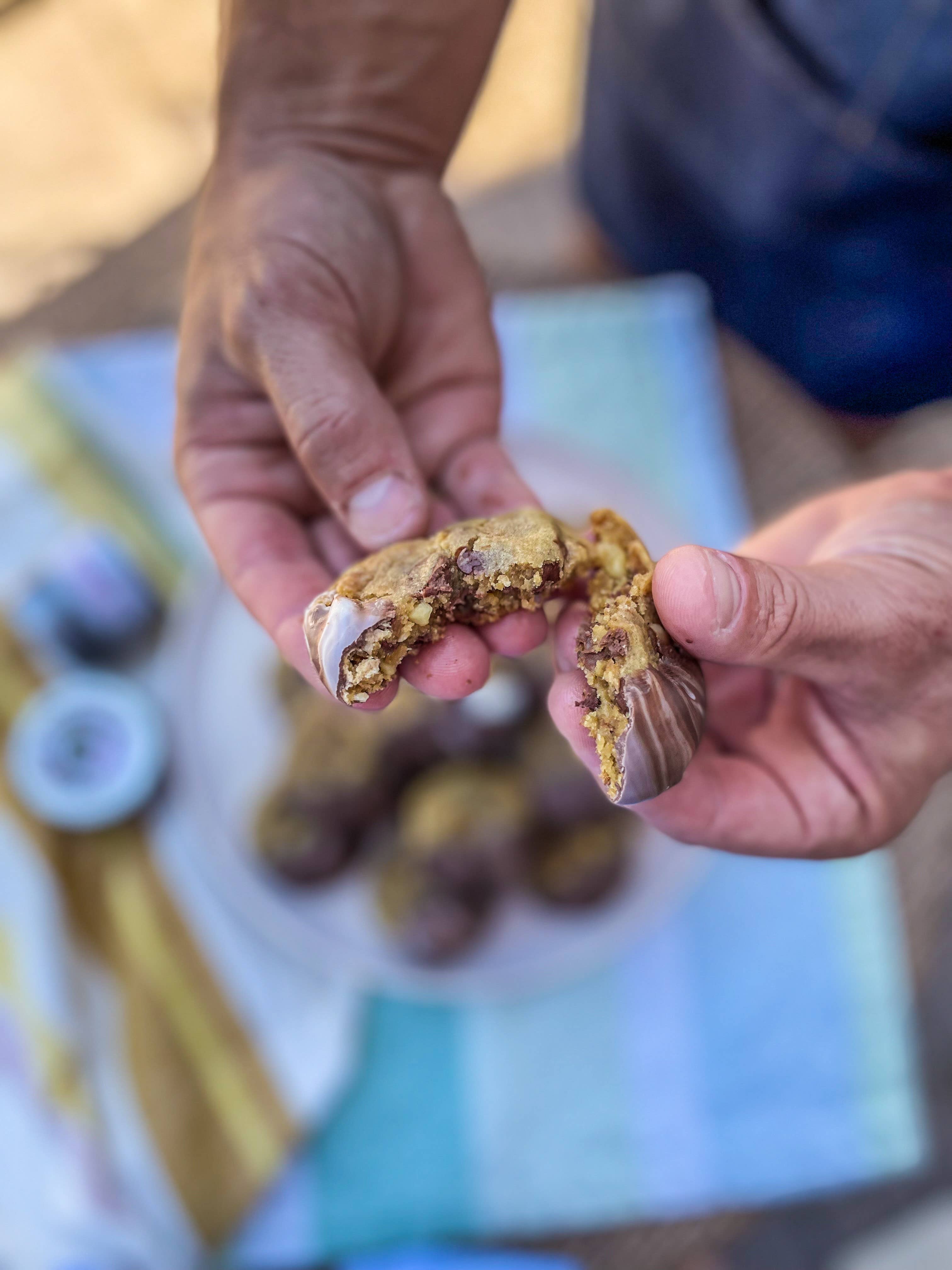 Gustus Vitae - Wholesale Sugar/Sweetener - Vanilla Bean Cane Sugar8