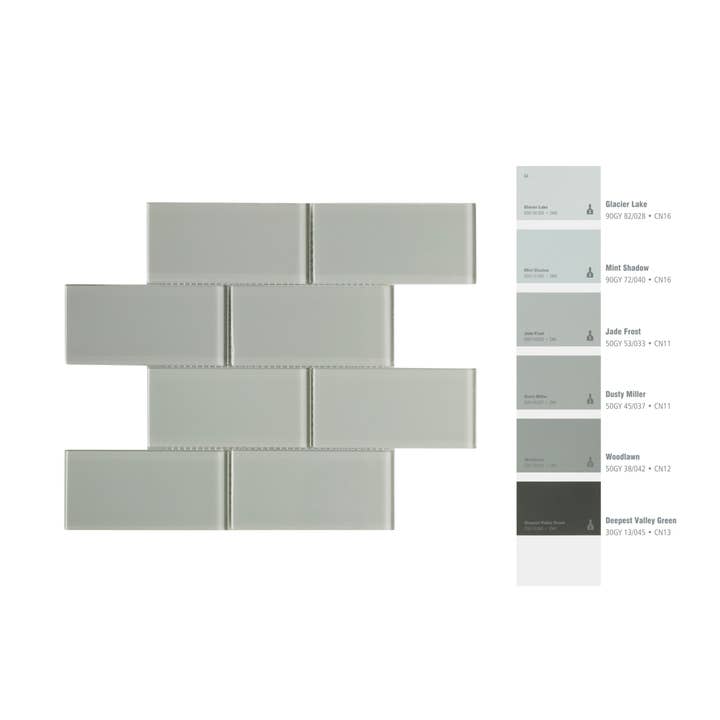 WS Tiles - Vente Carrelages muraux - Carreau de mosaïque en verre de 3" x 6", dosseret pour cuisine et salle de bain - 5 pieds carrés par carton22