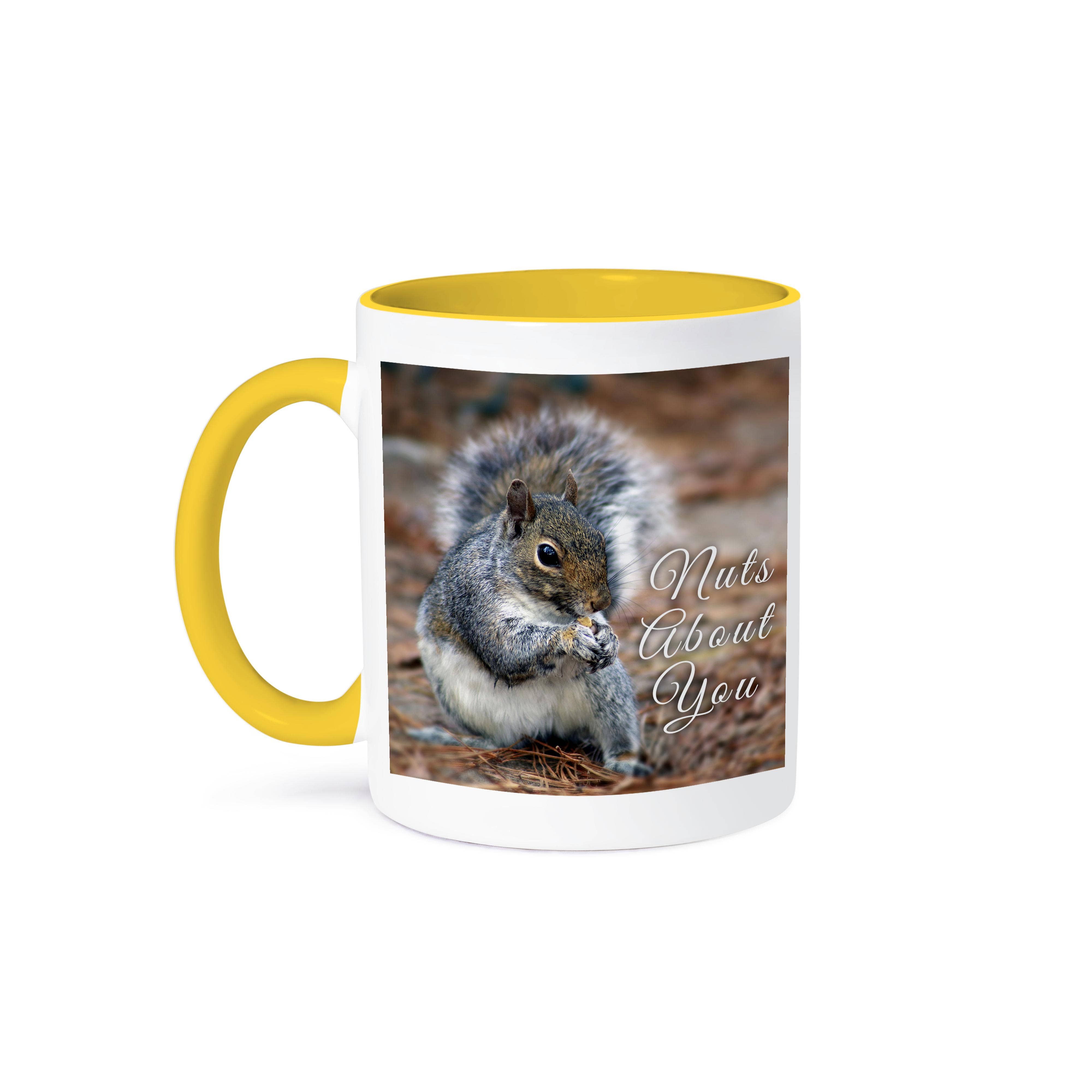 3dRose - Wholesale Coffee Mug - 3dRose, Photograph of a squirrel munching on a snack. He is nuts about you., Mug0