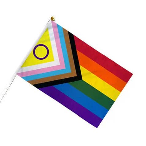 Small Daniel Quasar Intersex-Inclusive Flags on a Stick for wholesale by The Awareness Company