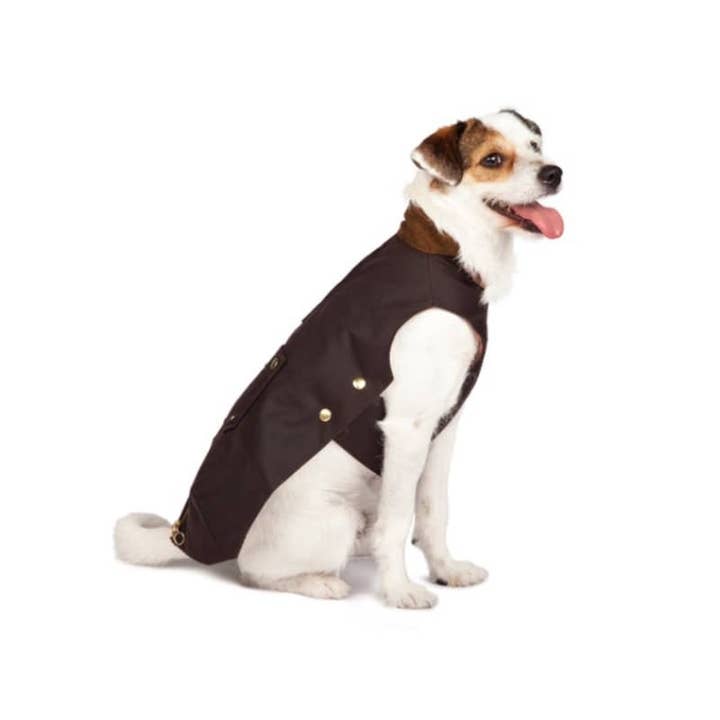 tQel dog trends - Wholesale Pet Coat - Dog - Barbour type Brown dog coat2