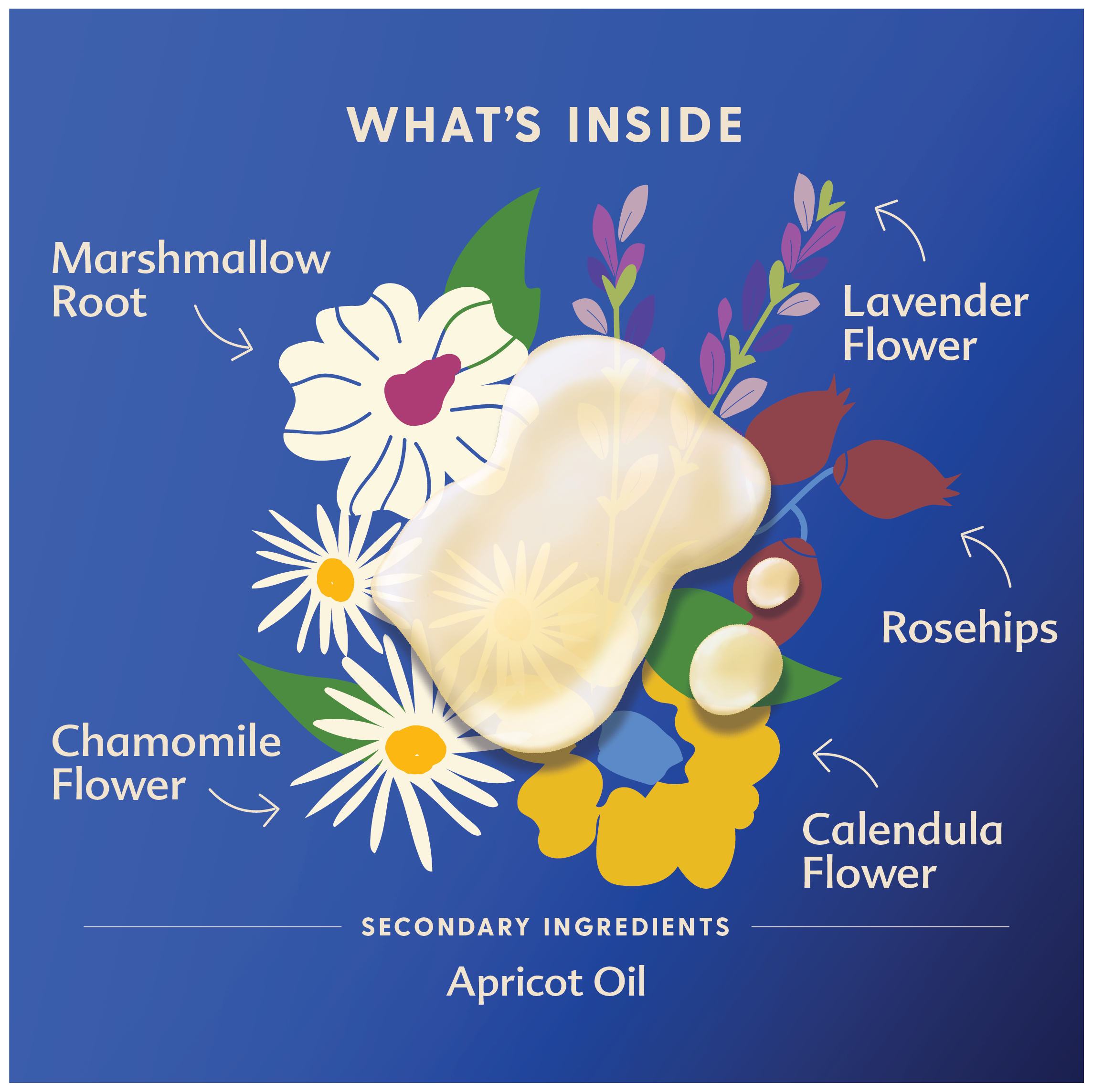 Motherlove - Wholesale Belly Oil/Butter - Maternity - Pregnant Belly Oil2