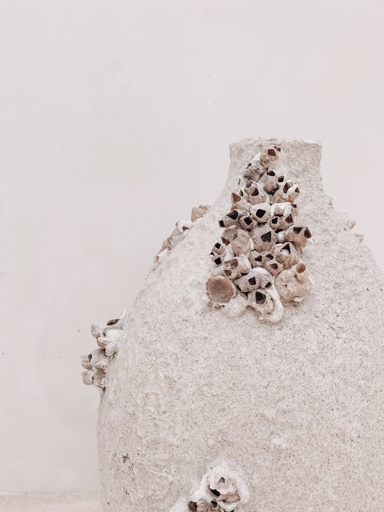 Black Salt Co - Wholesale Plant Pot - THE LAGI POT2