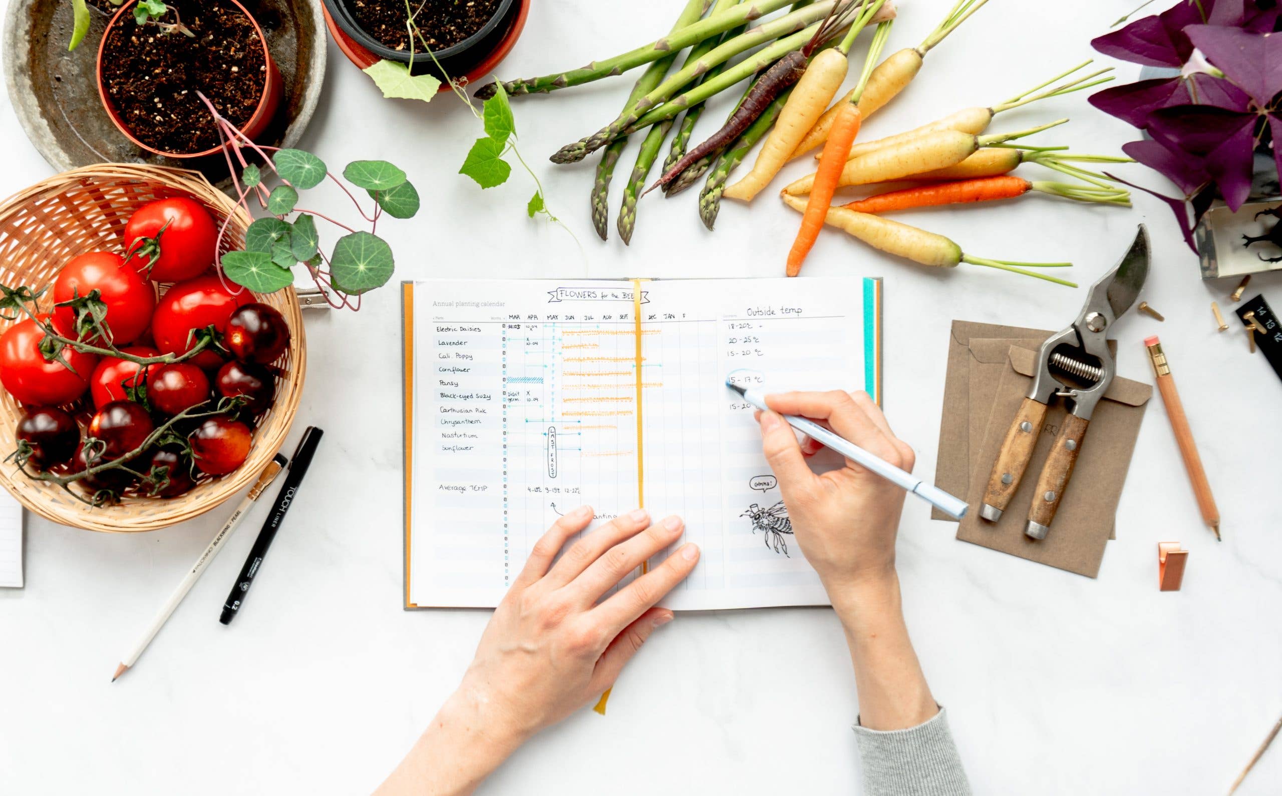 The Green Conspiracy - Wholesale Journal/Diary - A5 Garden Journal - Garden Planner - 100% compostable!3