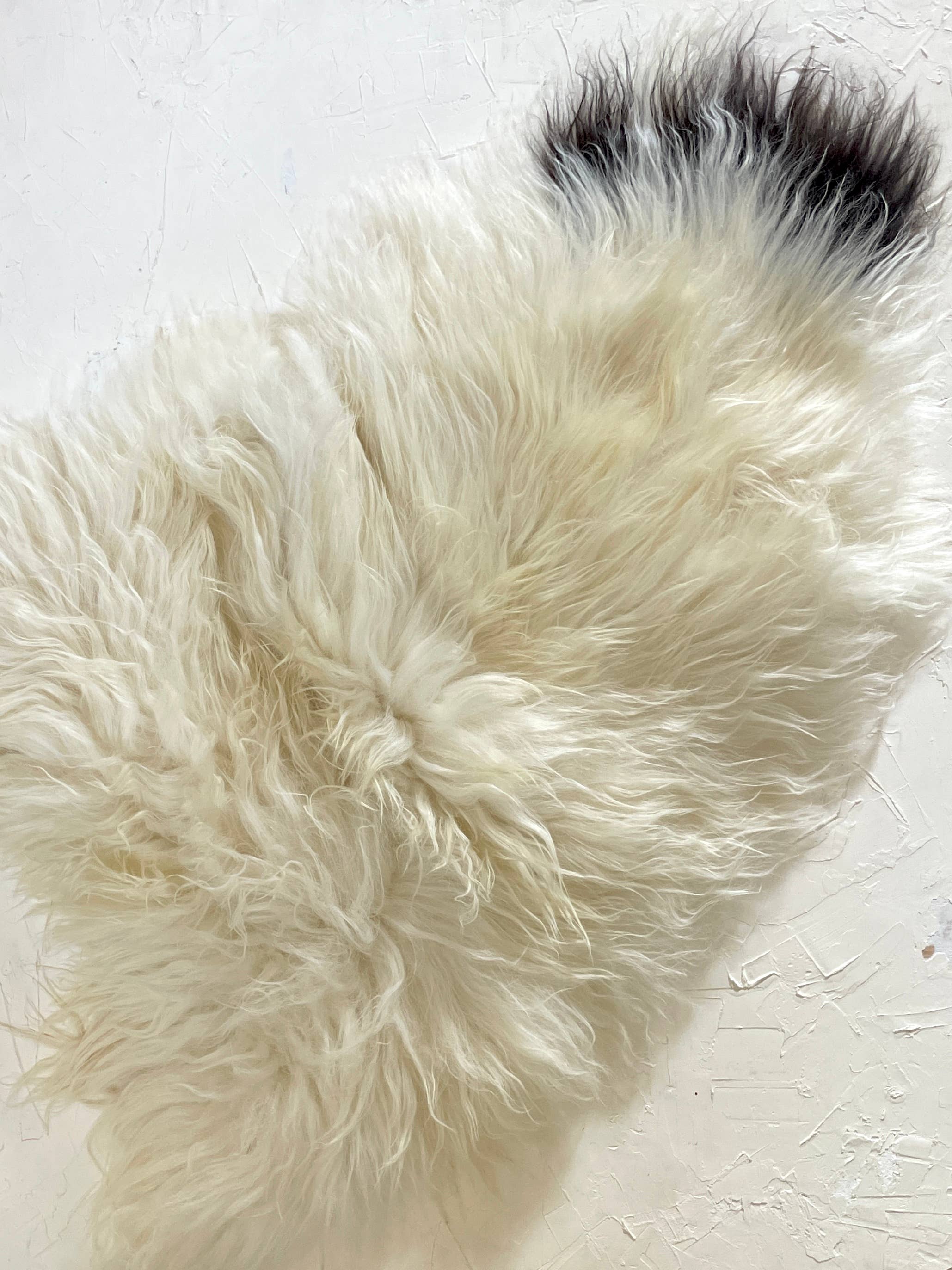 HoogaHooga - Vente Tapis - Peau de mouton islandaise Luna4