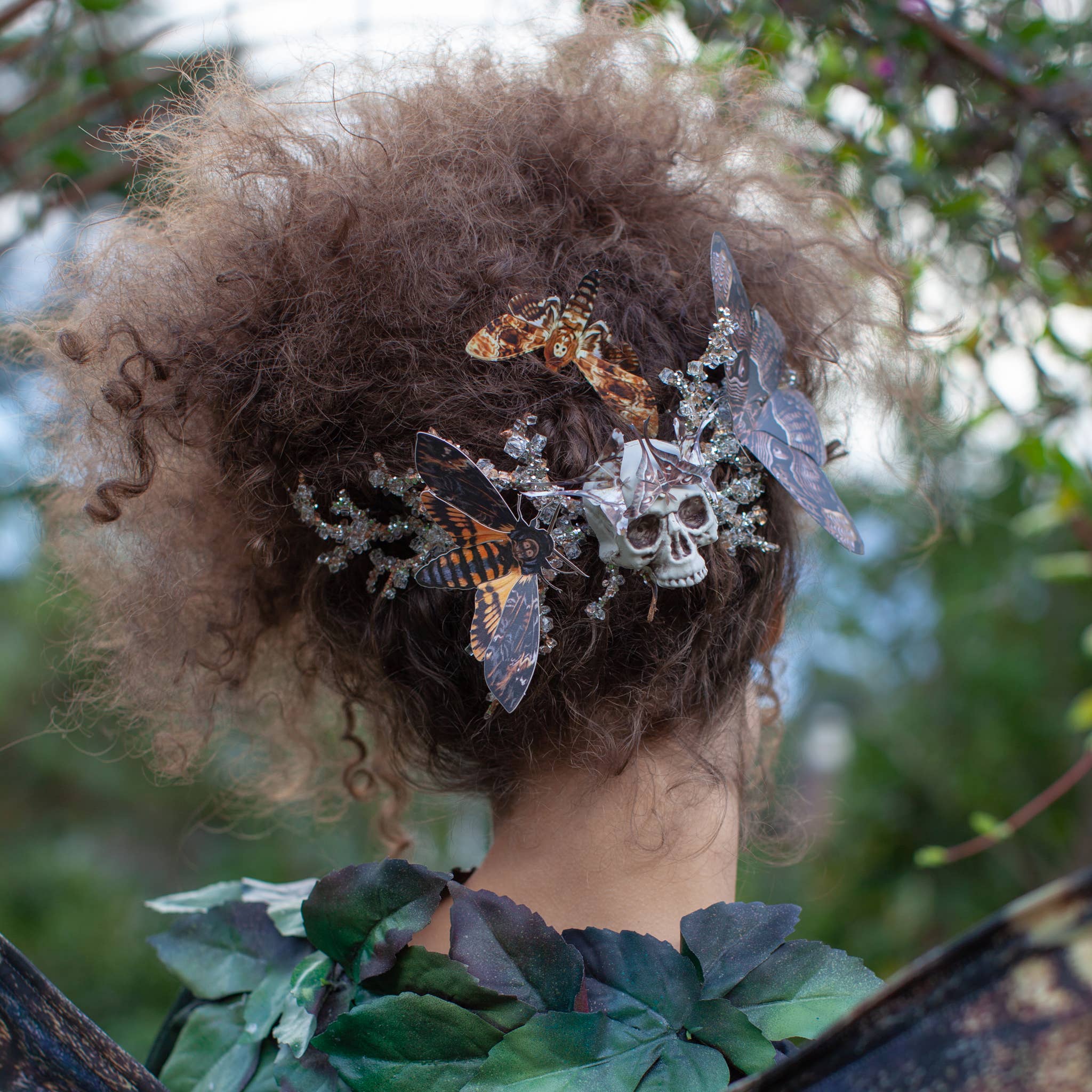 Moth and Myth - Wholesale Cutouts - Halloween 'Death's Head' Paper Moth Set4