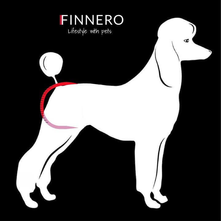 FINNERO - Wholesale Pet Diaper - Dog - FINNERO BRENDA Dog Hygiene pants, 3 colors, Washable Diaper29