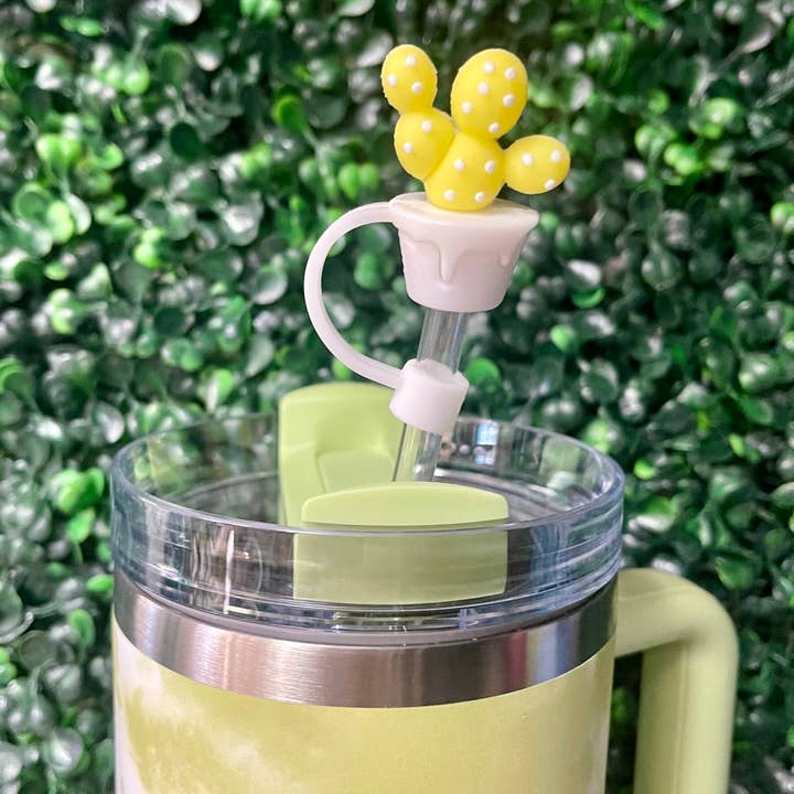 Briano Wholesale – Engroshandel Sugerør – Kaktus store halmtoppere