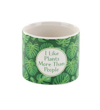 Napco - Wholesale Plant Pot - Green Planter Witty Collection, 3 Assorted # 13668 2
