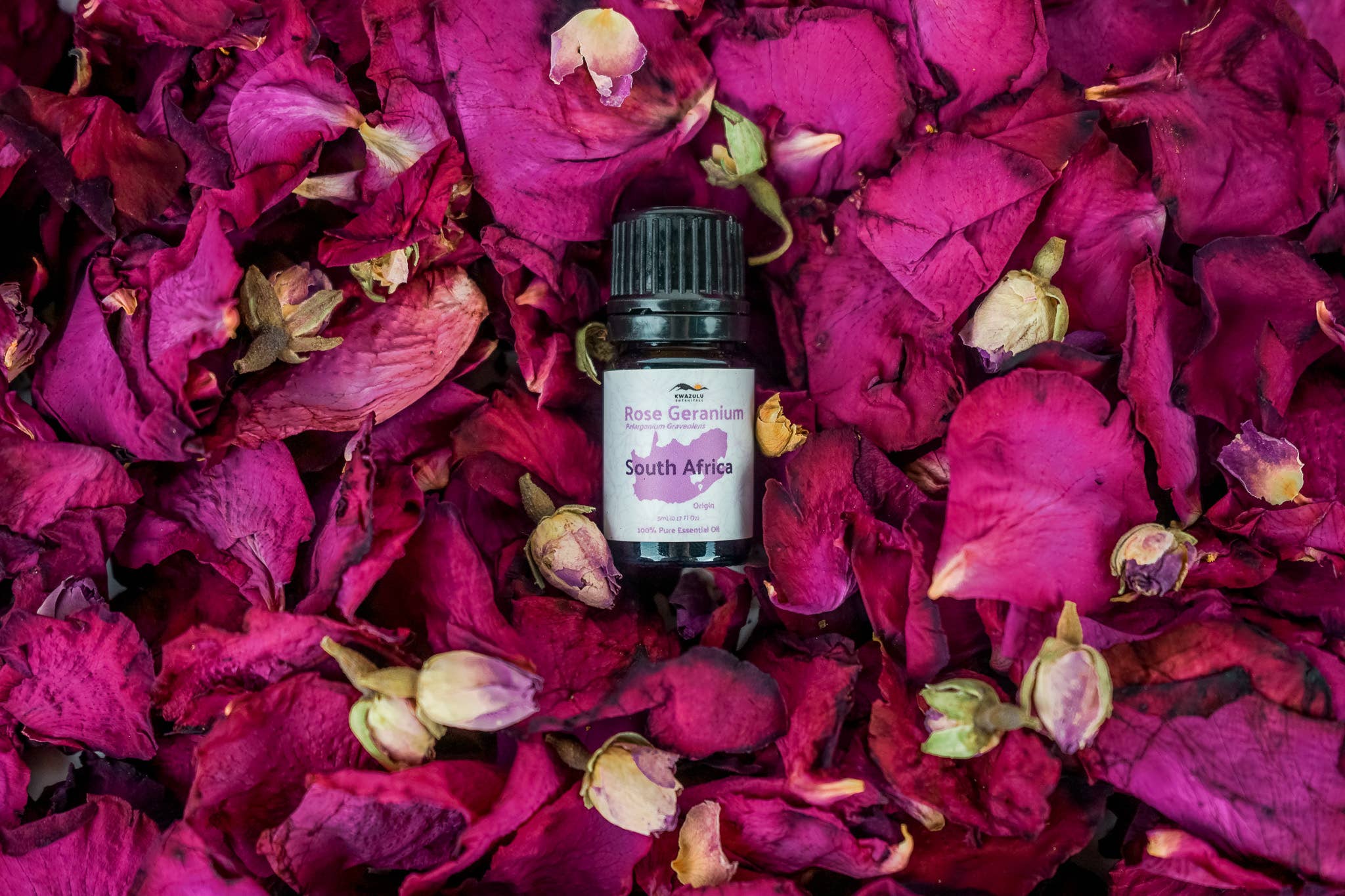 Nature Packaged - Wholesale Essential Oil - Rose Geranium Essential Oils-100% Pure- Farm-Direct Sourcing2