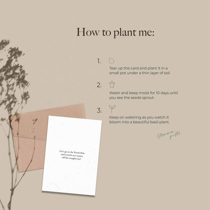 Axel & Ash - Wholesale Christmas card - PLANTABLE Xmas Card || MXMAS - 6Pack 3