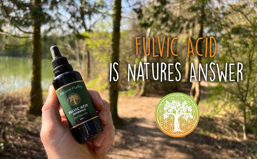 Ancient Purity – wholesale Oral supplement/vitamin – Fulvic Acid Minerals - 50ml 4