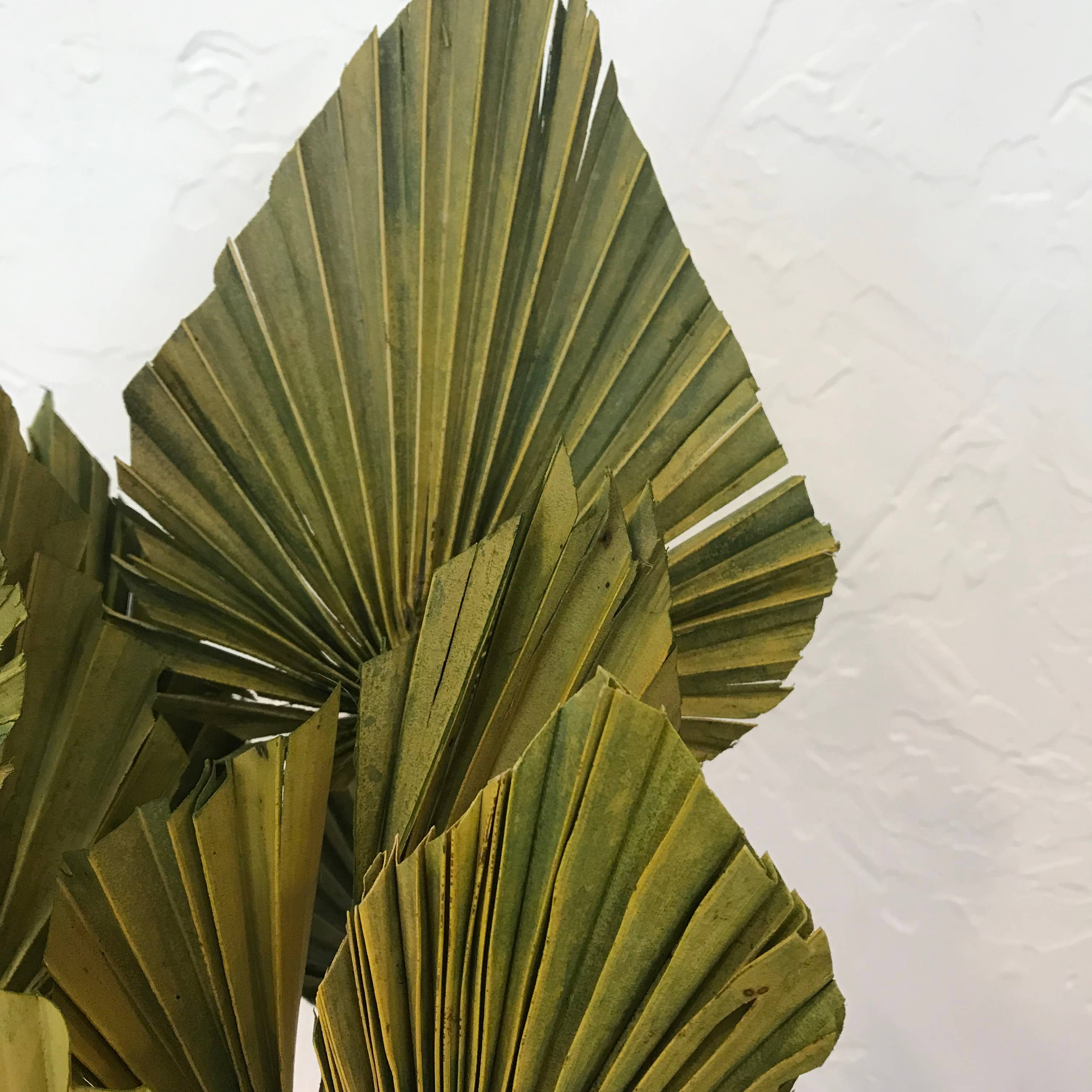 Wilco Home - Wholesale Dried/Pressed Flowers - 10 PC Dried Palm Spear Drop-in Bouquet12