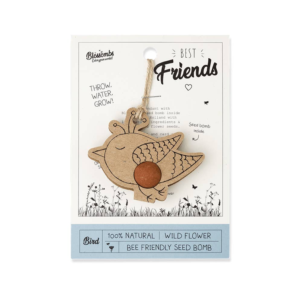 Blossombs - Wholesale Plant Seeds - Organic Bird Hanger on Card - Best Friends - 1 Seed Bomb